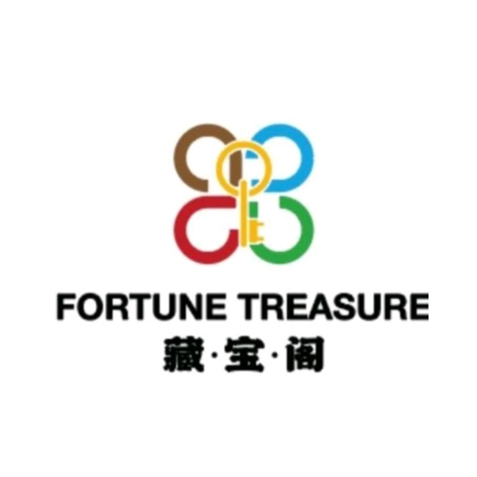 Fortune Treasure — brand portfolio image